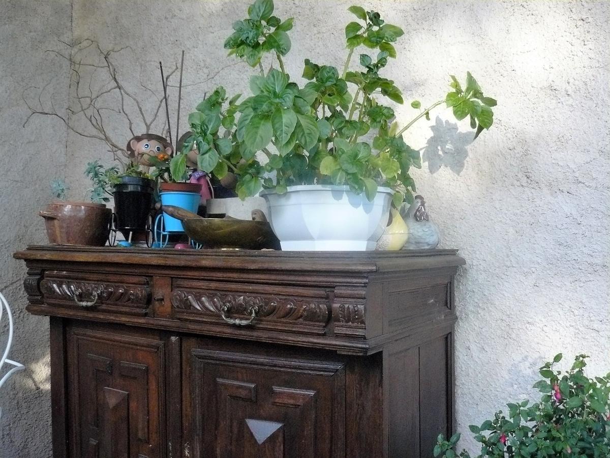 Bed and Breakfast Chez Camille à Etrigny Extérieur photo